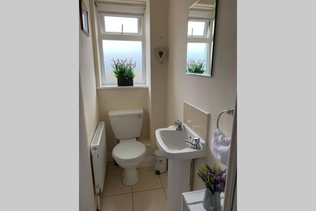 Two Bedroom Town House Beside The River Barrow Carlow Exterior foto