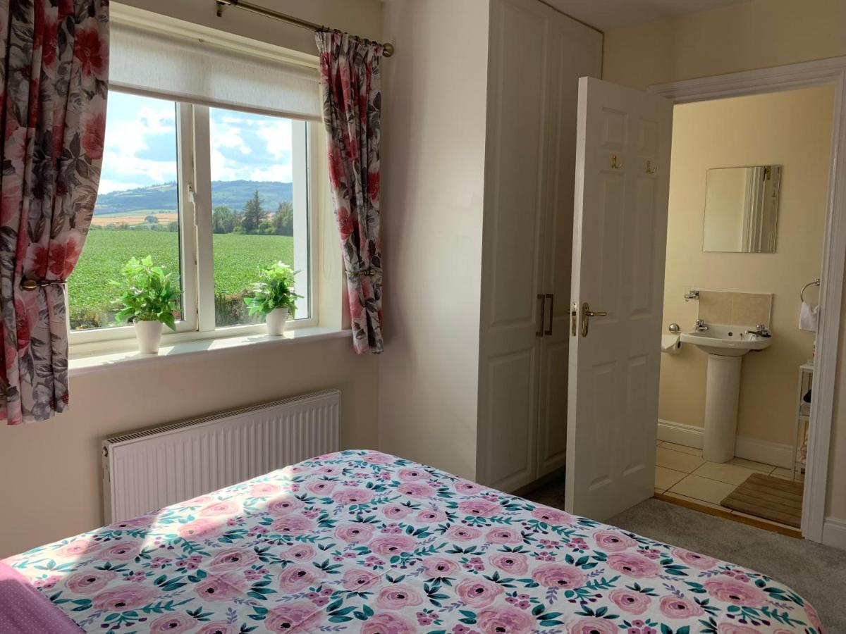 Two Bedroom Town House Beside The River Barrow Carlow Exterior foto
