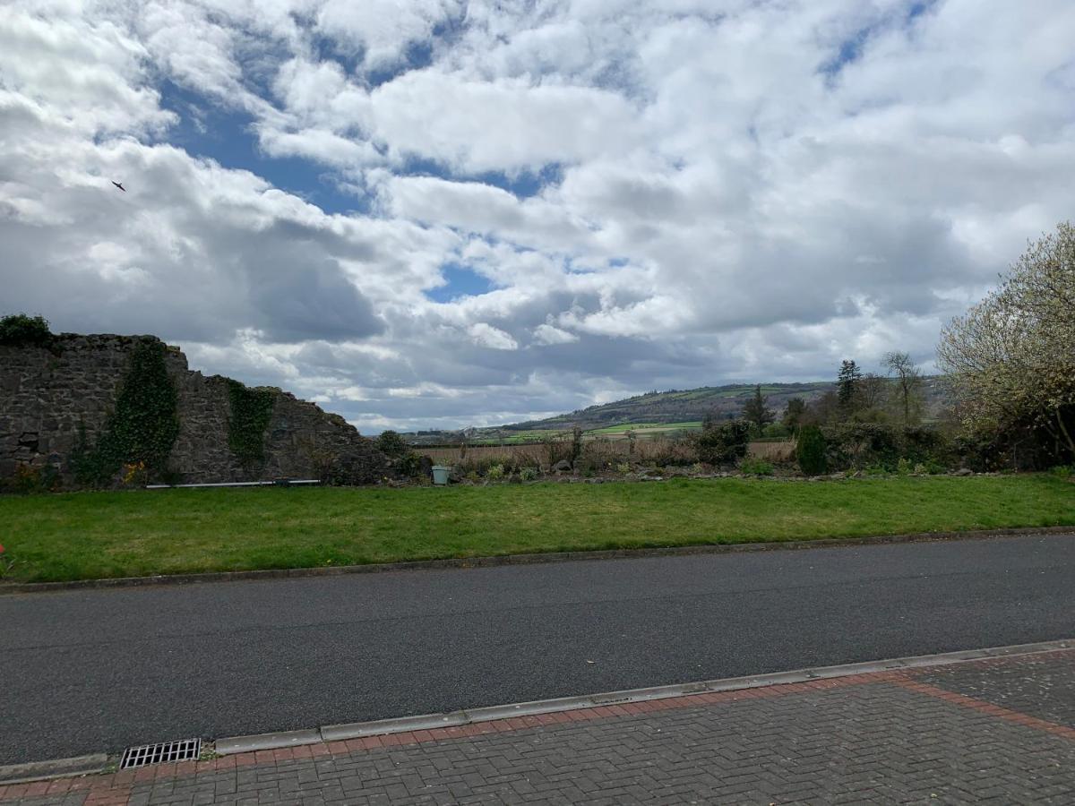 Two Bedroom Town House Beside The River Barrow Carlow Exterior foto